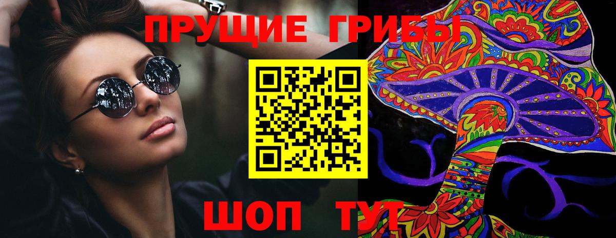 Богородицк  Псилоцибиновые грибы Magic Shrooms  Вход с VPN 
