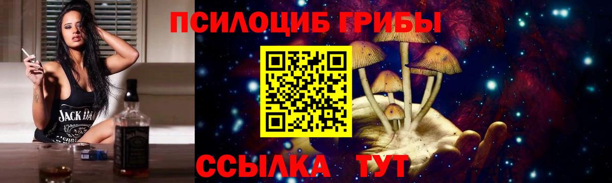 Псилоцибиновые грибы мицелий Богородицк